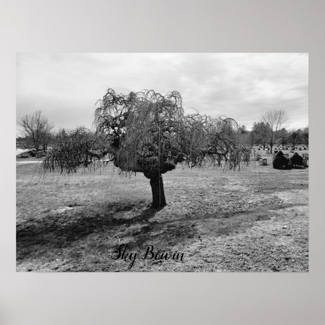 Der Weinbaum Poster (Vorne)