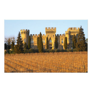 Der Weinberg mit den Syrah-Reben und dem Schloss Fotodruck