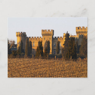 Der Weinberg mit den Syrah-Reben und dem Schloss Postkarte