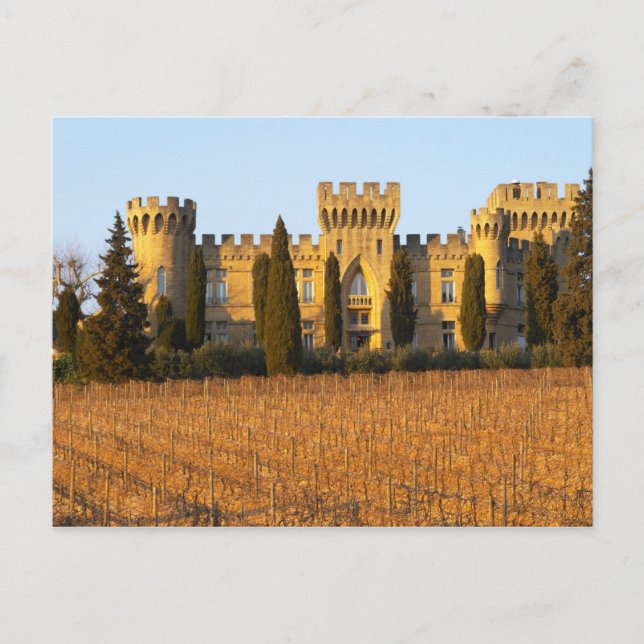 Der Weinberg mit den Syrah-Reben und dem Schloss Postkarte (Vorderseite)