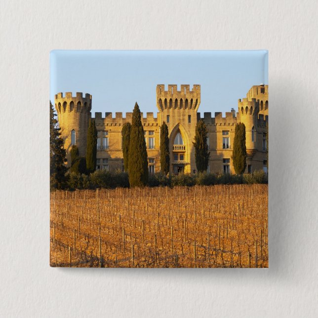 Der Weinberg mit syrah Reben und dem Chateau Button (Vorderseite)