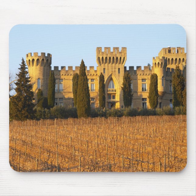 Der Weinberg mit syrah Reben und dem Chateau Mousepad (Vorne)