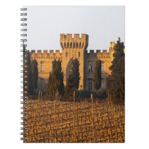 Der Weinberg mit syrah Reben und dem Chateau Notizblock