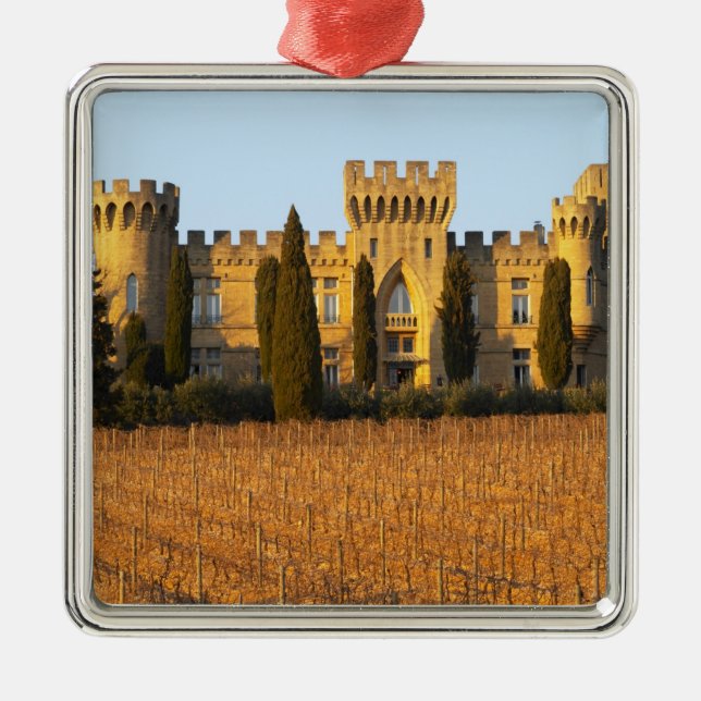Der Weinberg mit syrah Reben und dem Chateau Silbernes Ornament (Vorne)