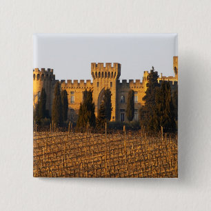 Der Weinberg mit Syrah-Reben und dem Schloss Button