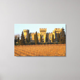 Der Weinberg mit Syrah-Reben und dem Schloss Leinwanddruck