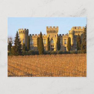Der Weinberg mit Syrah-Reben und dem Schloss Postkarte