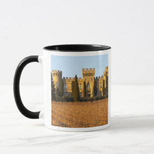 Der Weinberg mit Syrah-Reben und dem Schloss Tasse