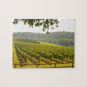 Der Weinberg und ein Tal mit einem Wald -