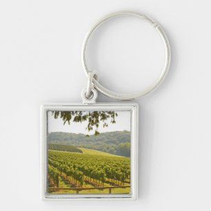 Der Weinberg und ein Tal mit einem Wald - Schlüsselanhänger