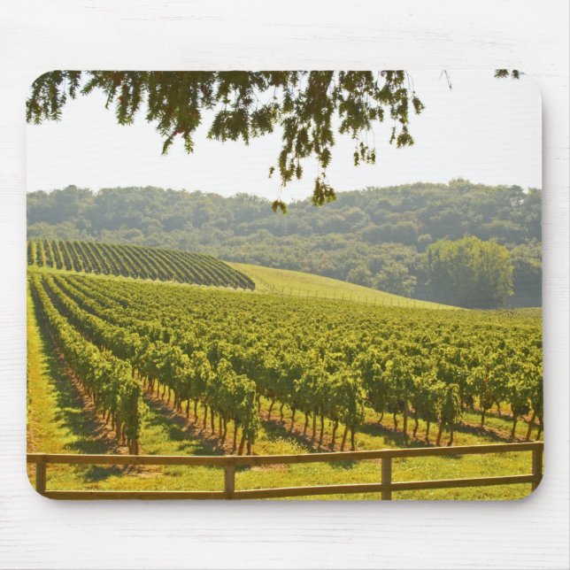 Der Weinberg und ein Tal mit Wald - Mousepad (Vorne)