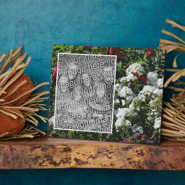 Der weiße Blumengarten Phlox ergänzt Ihr Foto Fotoplatte (Seite)