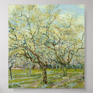 Der weiße Obstgarten von Vincent Van Gogh Poster