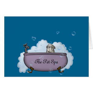 Der Wellness-Center für Haustiere