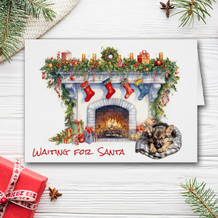 Der Welpe der Deutschen Hirte wartet auf den Weihn