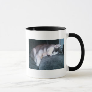 Der Welpe schläft Tasse