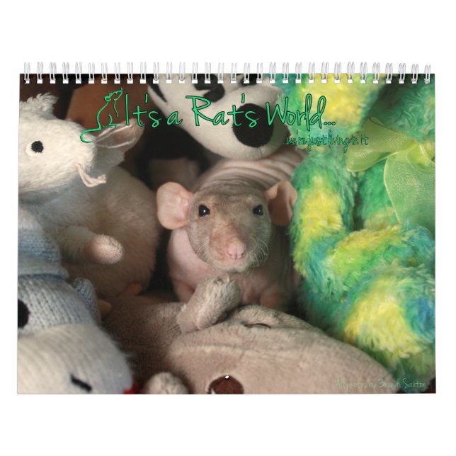 Der Weltkalender des Rates Kalender (Titelbild)