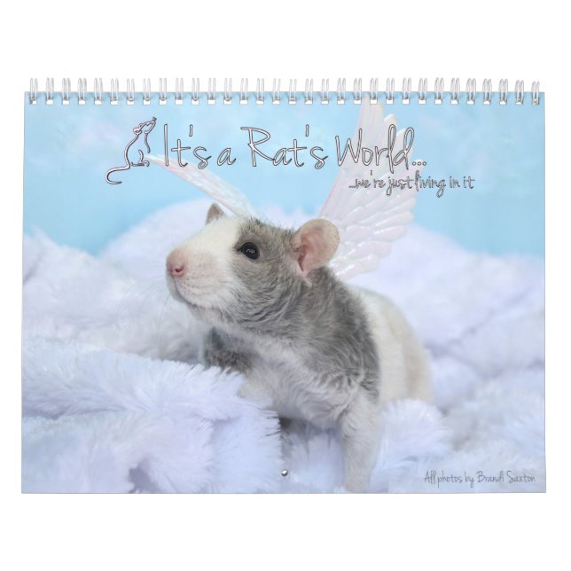 Der Weltkalender des Rates Kalender (Titelbild)