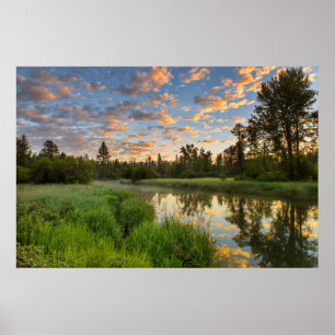 Der Whitefish River mit schönen Sonnenaufgangswolk Poster