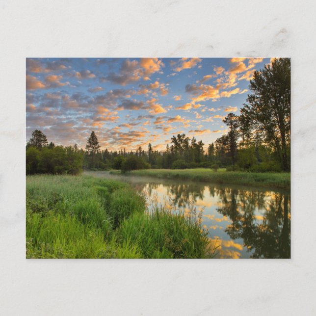 Der Whitefish River mit schönen Sonnenaufgangswolk Postkarte (Vorderseite)