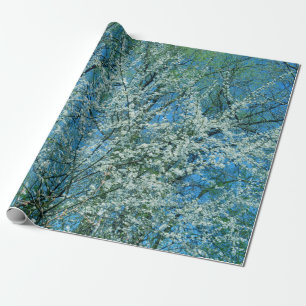 Der wilde Pflaumenbaum in Blüte Geschenkpapier