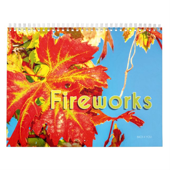 Der Wine Wall Kalender - Feuerwerke. (Titelbild)
