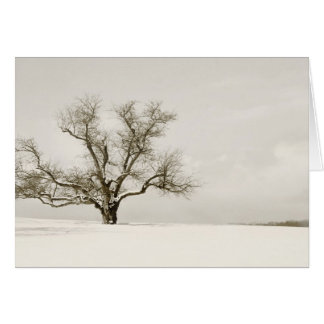 Der Winter-Baum - freier Raum