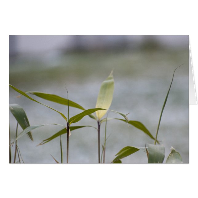 Der Winter kommt (Vorderseite (Horizontal))