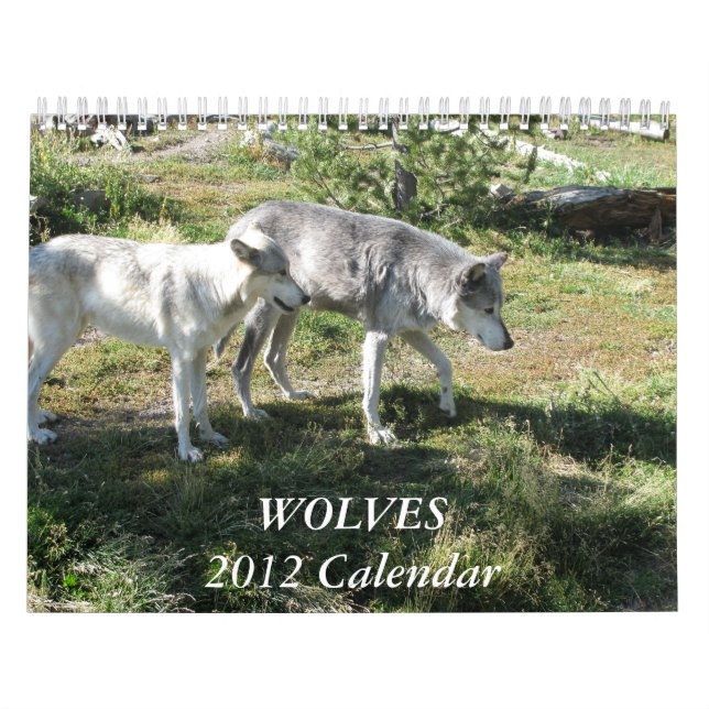 Der Wolf-Kalender 2012 Kalender (Titelbild)