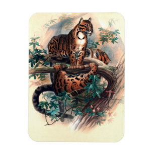 Der Wolken-Tiger von Joseph Wolf Magnet