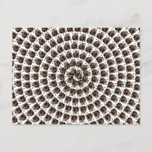 Der Wombat Whirlpool: Ein Wunder, Postkarte