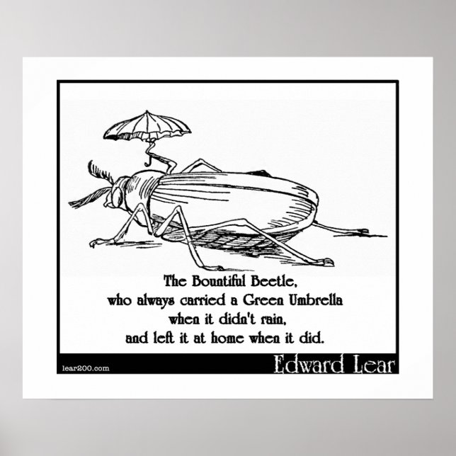 Der wunderschöne Käfer Poster (Vorne)