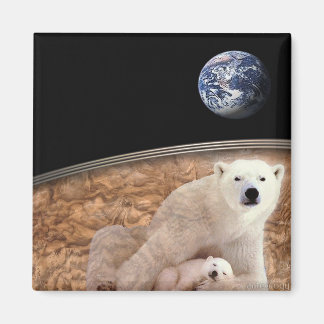 DER WUNDERSCHÖNE POLAR MAGNET