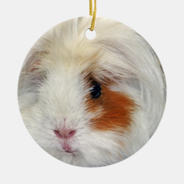 Der Wunsch des Meerschweinchens Keramikornament (Vorne)
