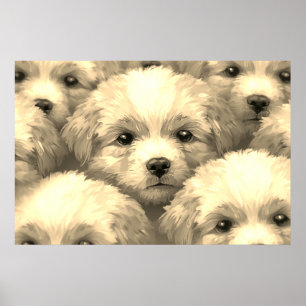 Der Wurf blonder Welpen an einer Wand Poster