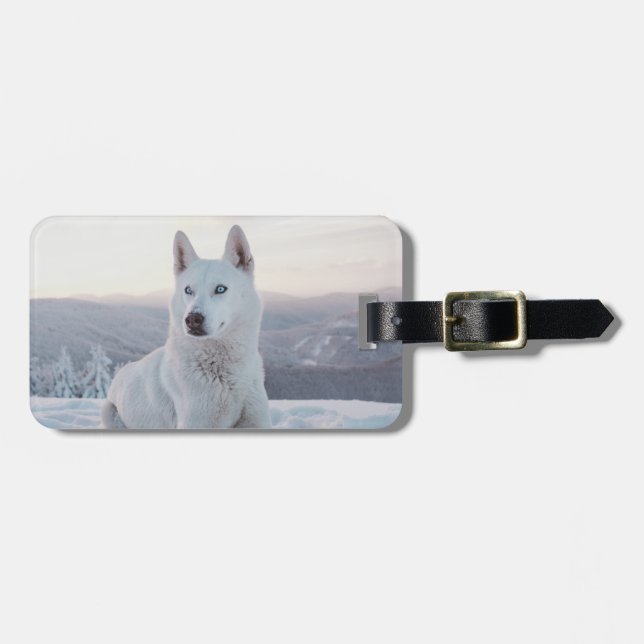 Der zauberhafte Weiße Husky-Hund im Schnee Gepäckanhänger (Vorderseite horizontal)