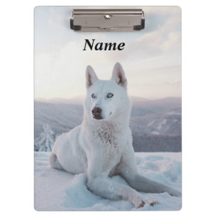 Der zauberhafte Weiße Husky-Hund im Schnee Klemmbrett