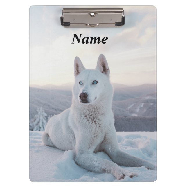 Der zauberhafte Weiße Husky-Hund im Schnee Klemmbrett (Vorderseite)