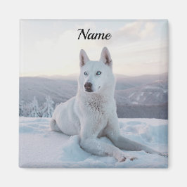 Der zauberhafte Weiße Husky-Hund im Schnee Magnet
