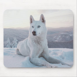 Der zauberhafte Weiße Husky-Hund im Schnee Mousepad