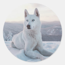 Der zauberhafte Weiße Husky-Hund im Schnee Runder Aufkleber