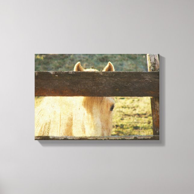 Der Zaun knallen Leinwanddruck (Vorderseite)