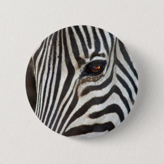 Der Zebra des ambulanten Händlers Button