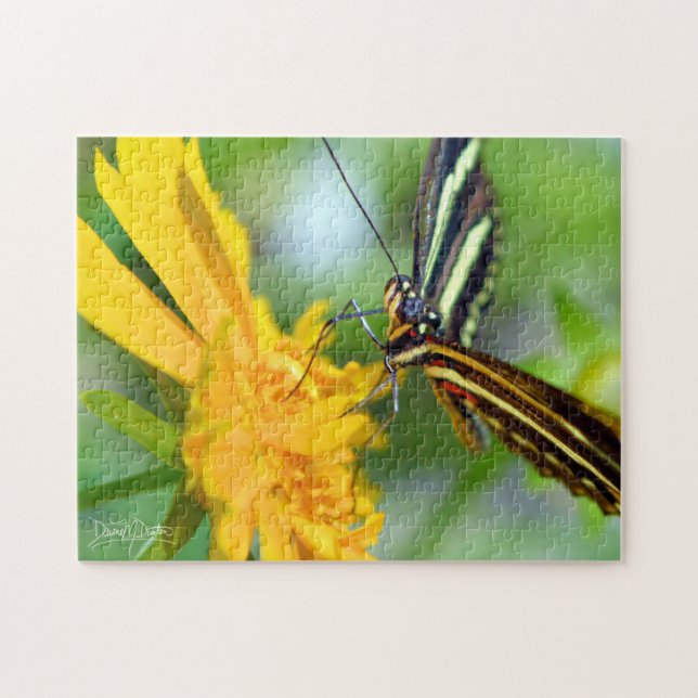 Der Zebrafalter (Horizontal)