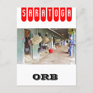 Derby Gewinner "Orb" als 2 Jahre alt Postkarte