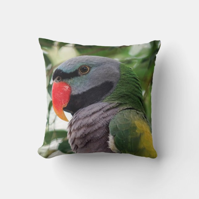 Derbyan Parakeet-Wurfs-Kissen Kissen (Vorderseite)