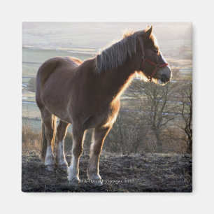 Derbyshire, England Magnet