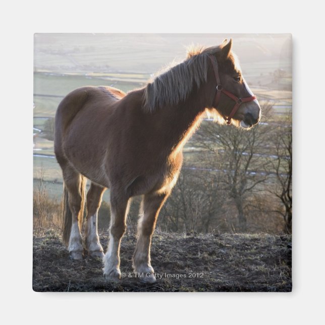 Derbyshire, England Magnet (Vorne)