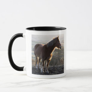 Derbyshire, England Tasse