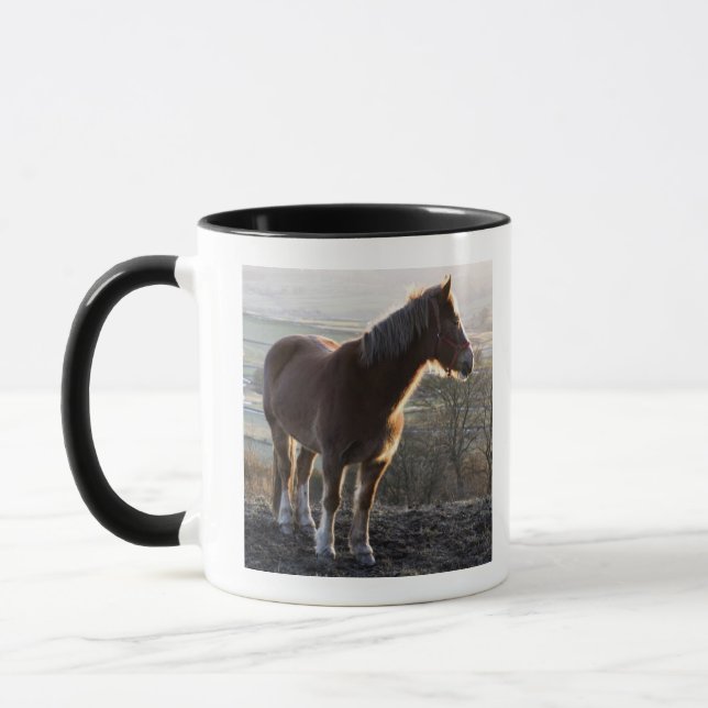 Derbyshire, England Tasse (Links)